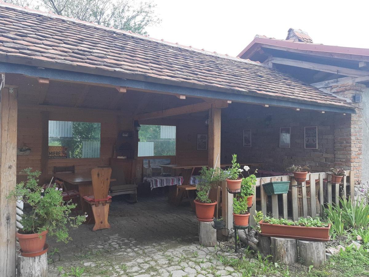 Casa Maria Cincu Exterior foto