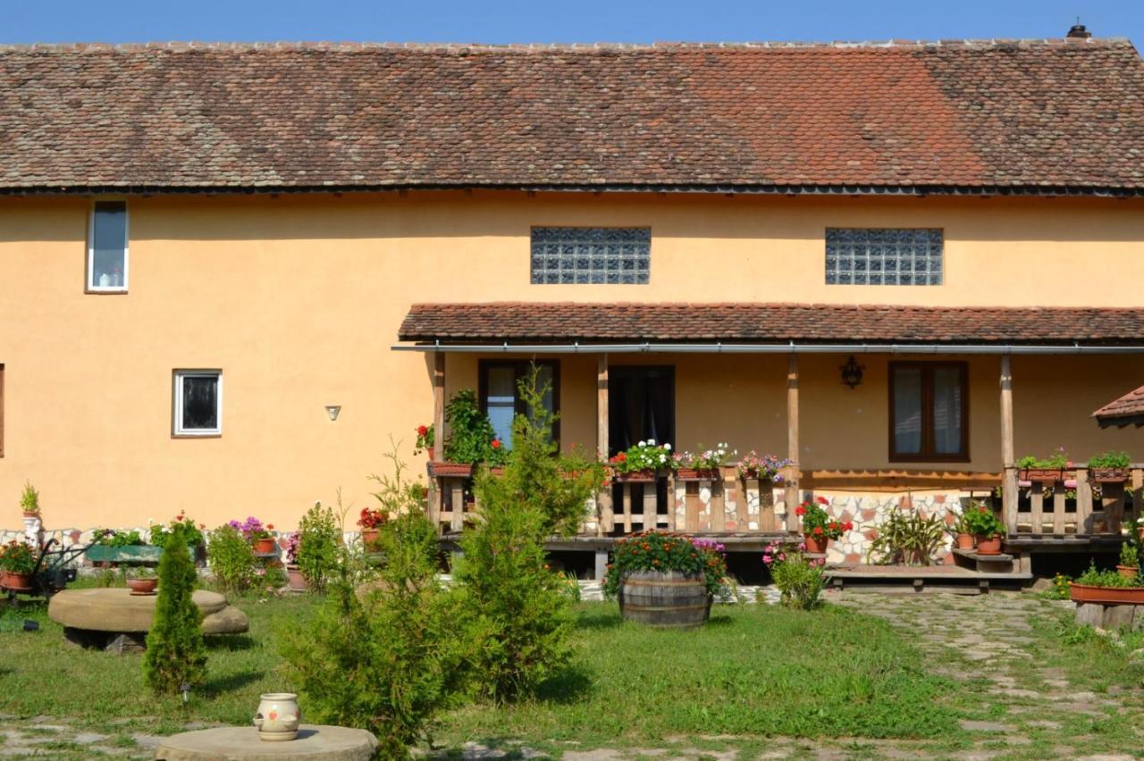 Casa Maria Cincu Exterior foto