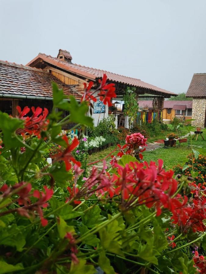 Casa Maria Cincu Exterior foto