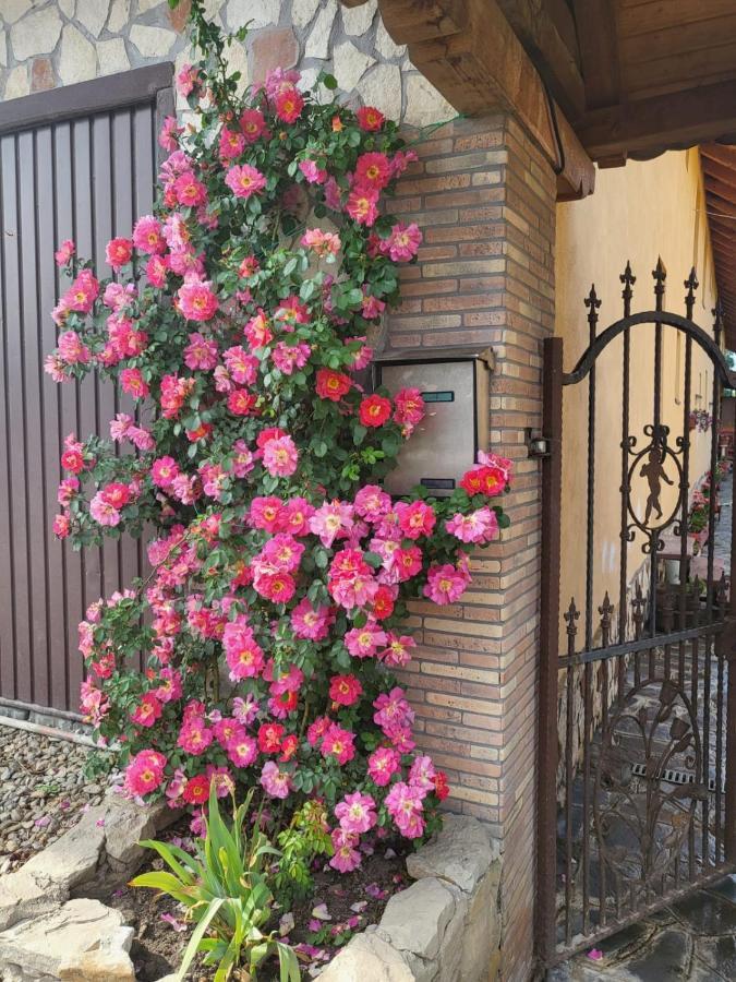 Casa Maria Cincu Exterior foto